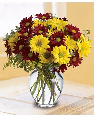 Fall for Daisies Flower Arrangement