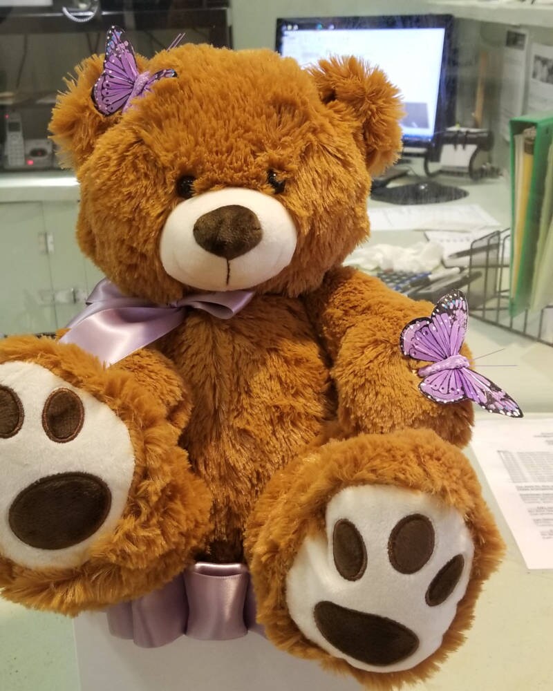Teddy Bear for All Ages in Houston TX - Greenworks Flowers