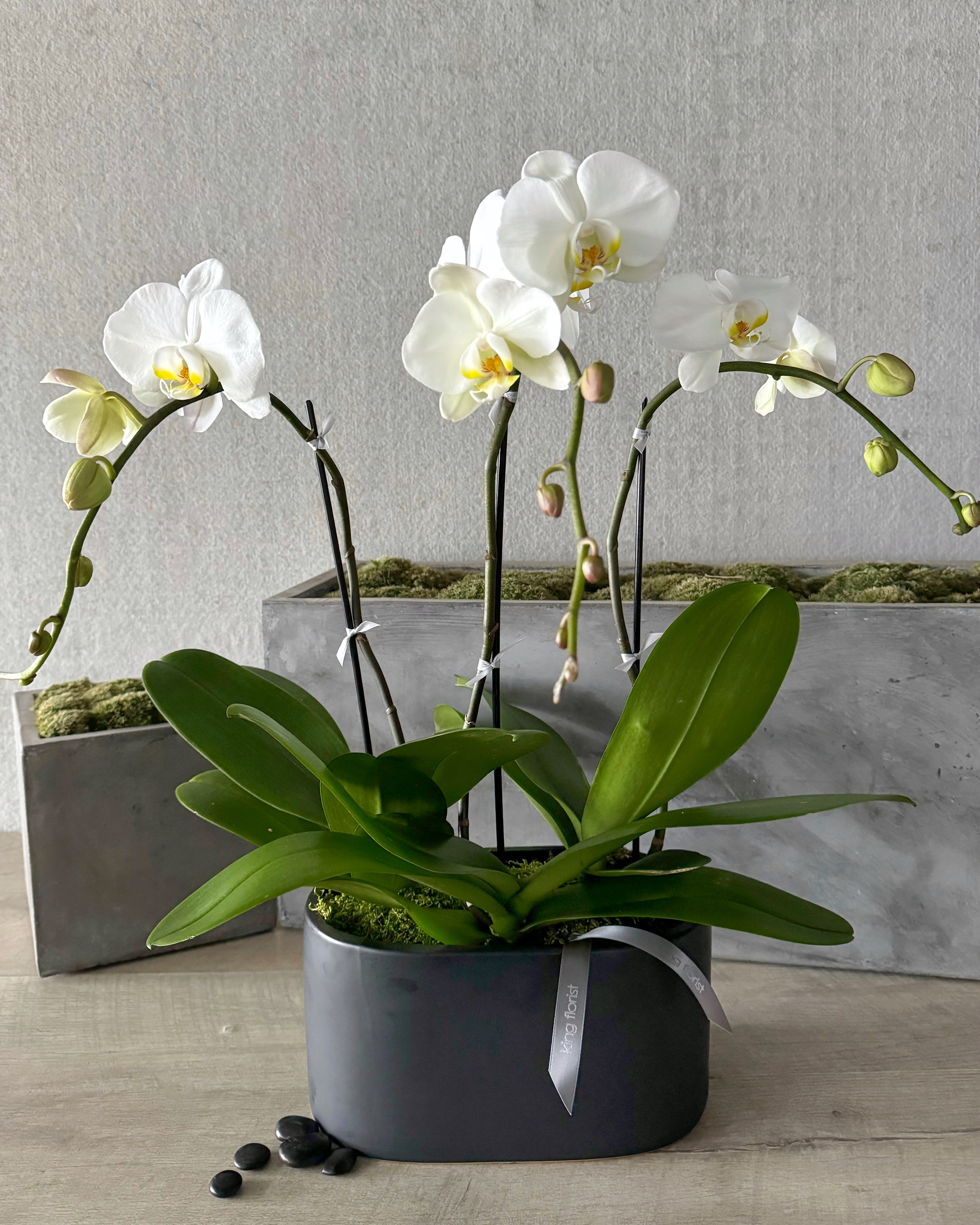 Luxe Orchid Garden Flower Arrangement