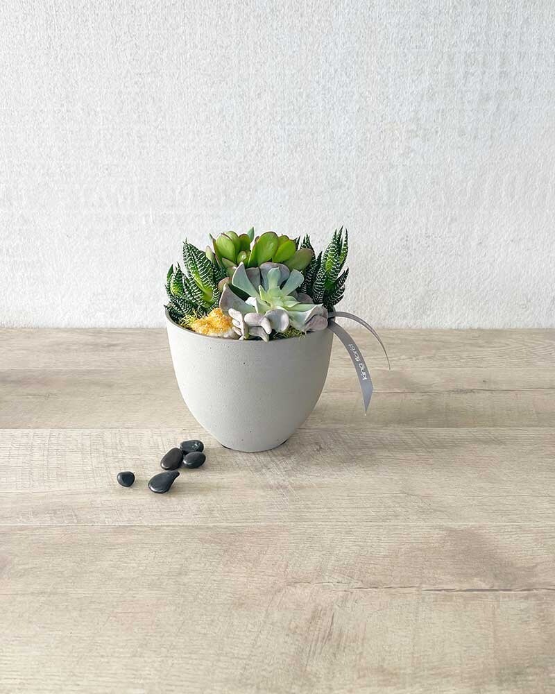 Modern Succulents Flower Arrangement