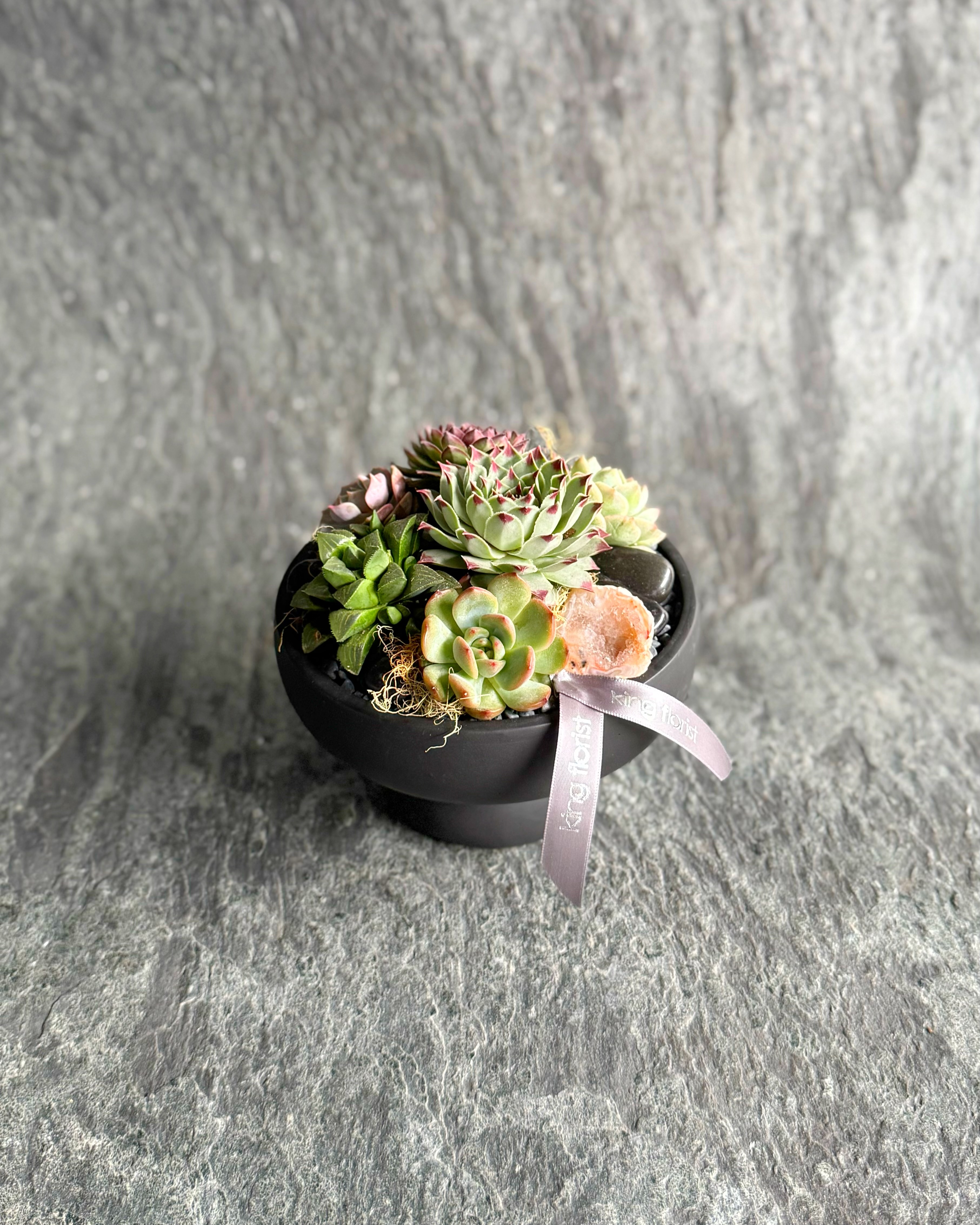 assorted succulent plants 4″ Assorted Succulents Tray – FLORA CLAY main image 0