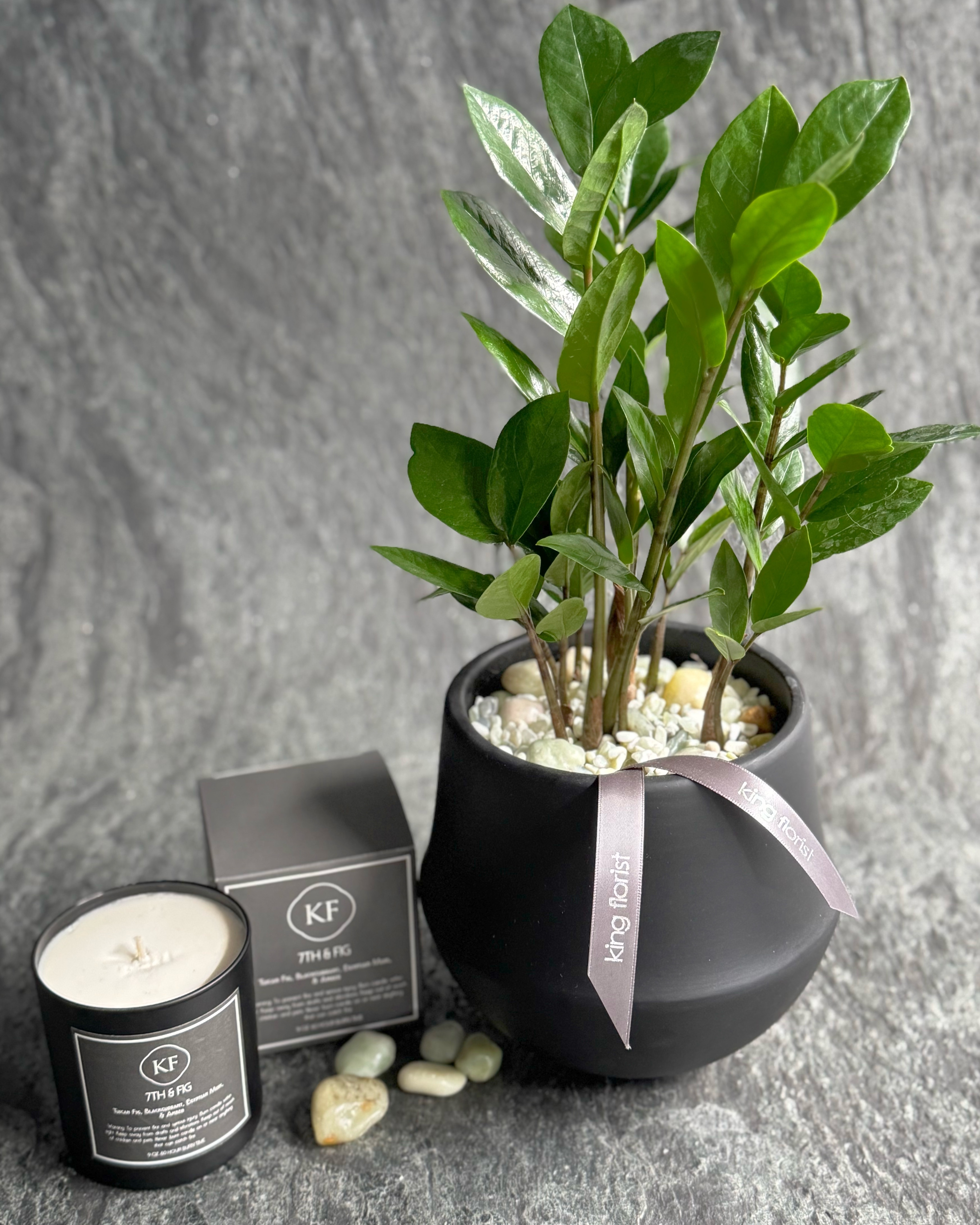 ZZ Plant in Austin TX - King Florist Of Austin