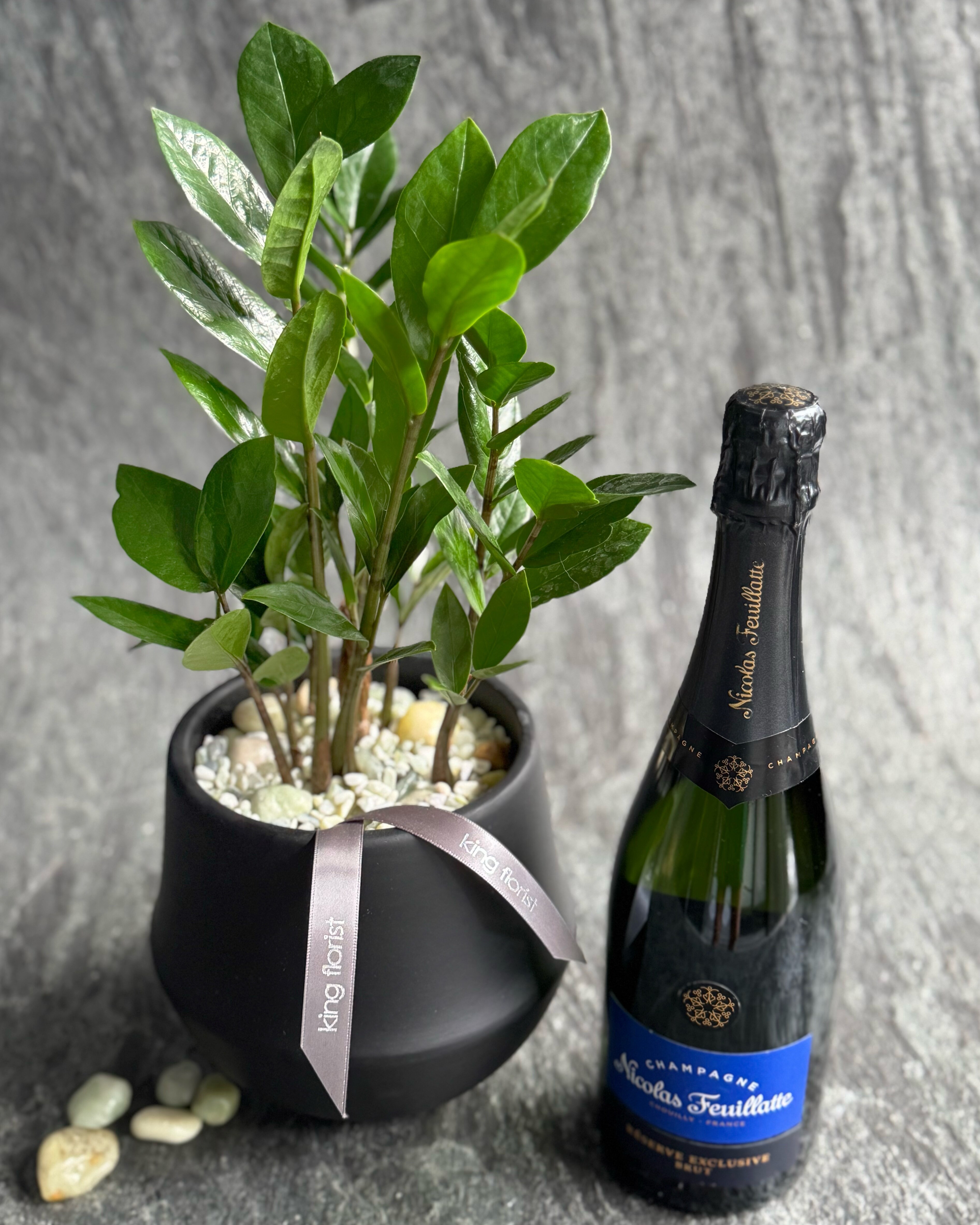 ZZ Plant in Austin TX - King Florist Of Austin