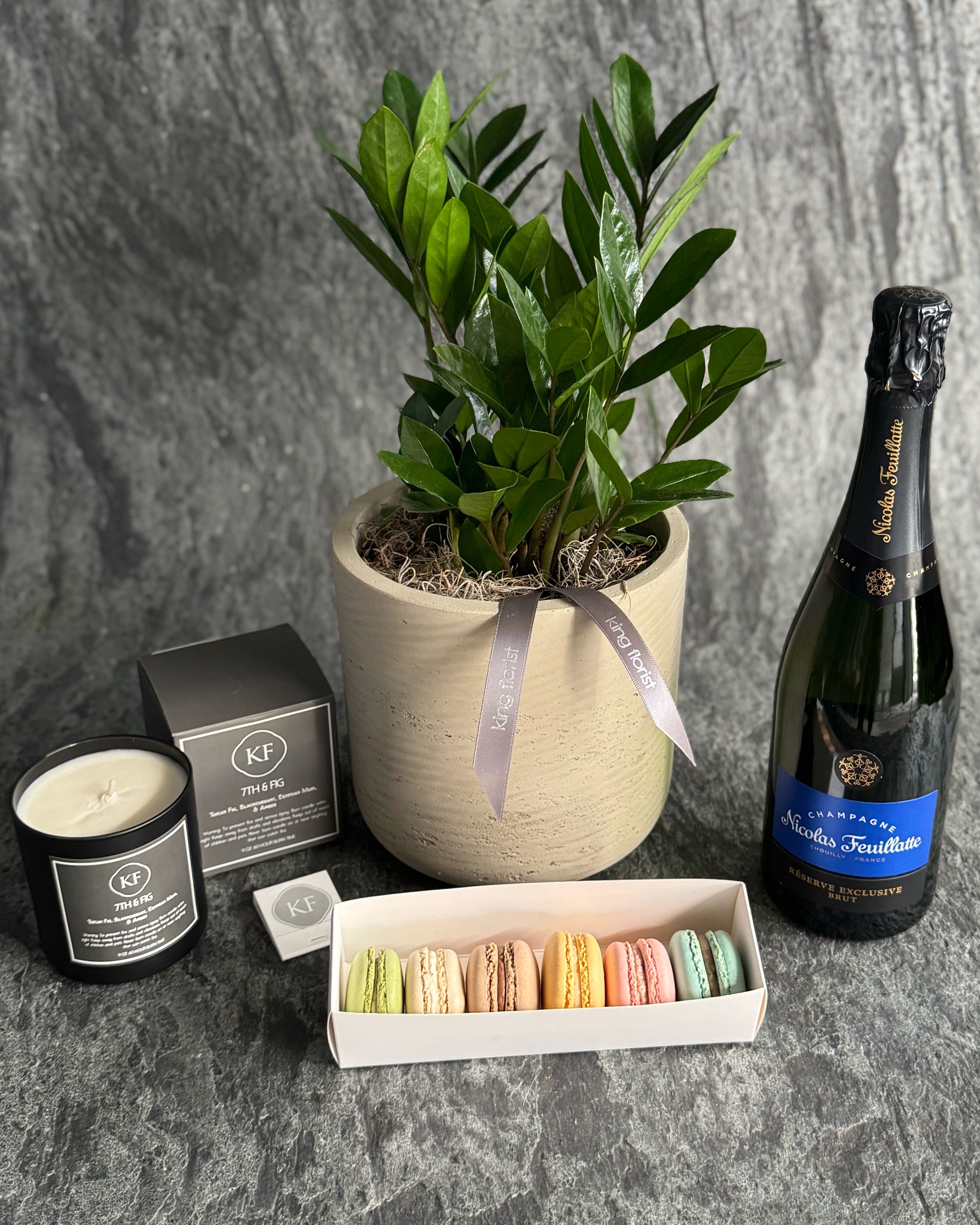 ZZ Plant in Austin TX - King Florist Of Austin