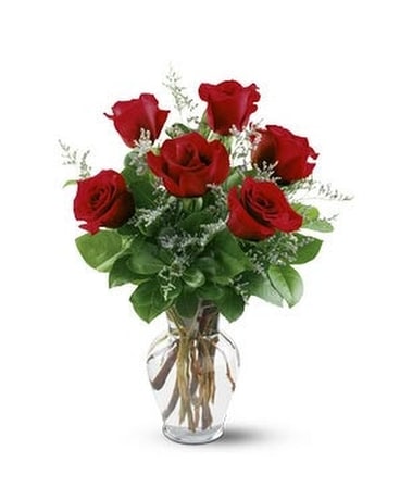 Half Dozen Roses Flower Arrangement