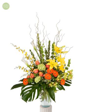 Humming Skies [6HSMA7] Flower Arrangement