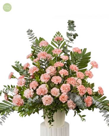 Kind Promise [6PCAR3] in Austin TX - Freytag's Northwest Florist