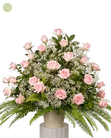 Sweet Divine Roses [6PRBB3] Flower Arrangement