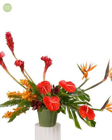 Tropical Aurora [6TRO3] Flower Arrangement