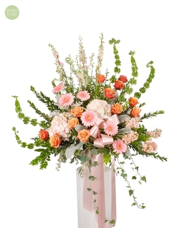 Purely Tenderhearted [6FEM3] Flower Arrangement