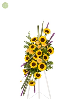 Standard size,  inches height and  inches wide.
