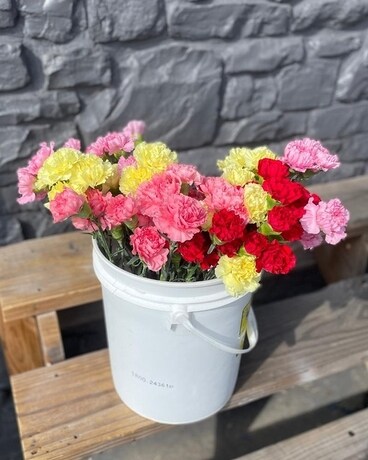 Wholesale Assorted Carnations Flower Arrangement
