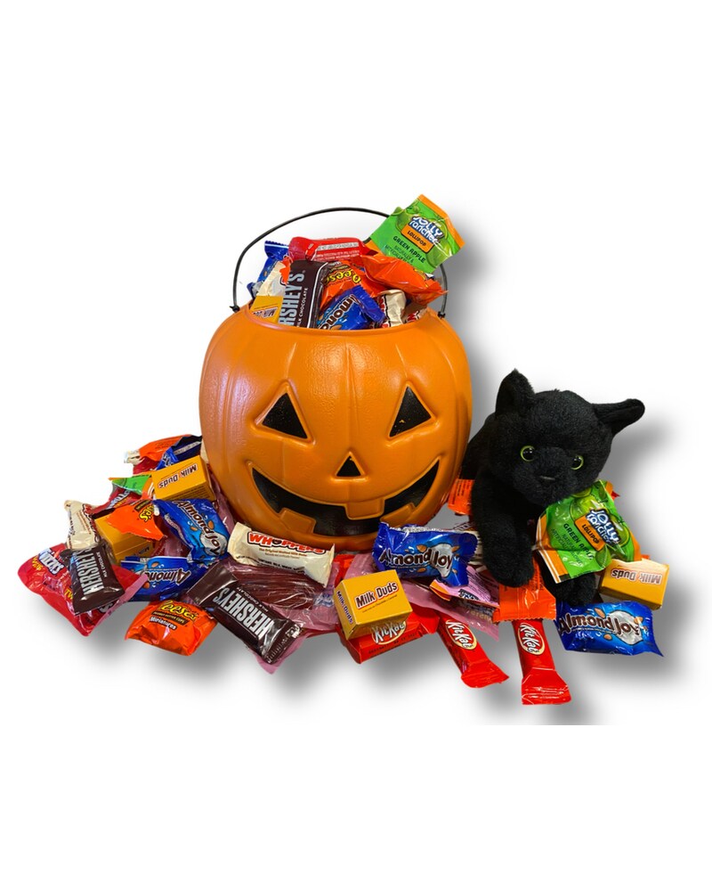 Halloween Haul in Plano TX - CDdesigns Florist