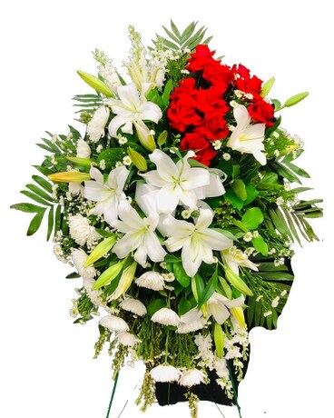 S200-S4 Sympathy Arrangement