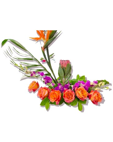 Tropical Birds Paradise Flower Arrangement