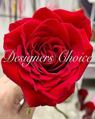 Designer's Choice Bouquet Flower Arrangement