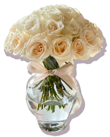 Three dozen white roses Flower Arrangement
