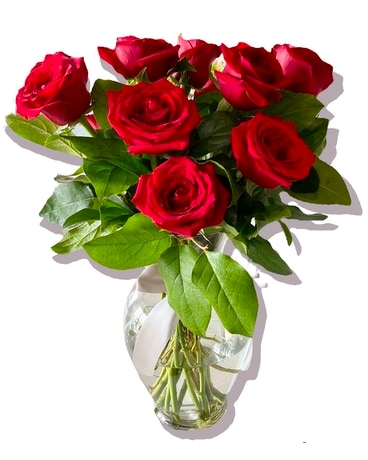 Long Stem Dozen Red Roses Flower Arrangement