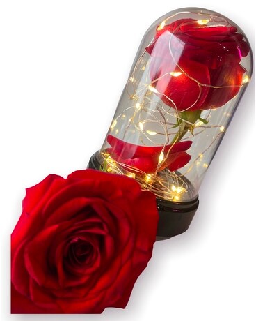 Beauty's Rose Flower Arrangement