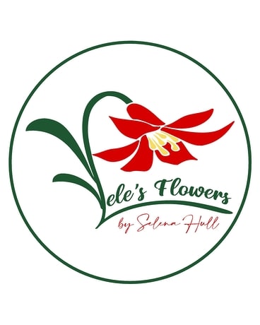 Funeral Package Funeral Arrangement