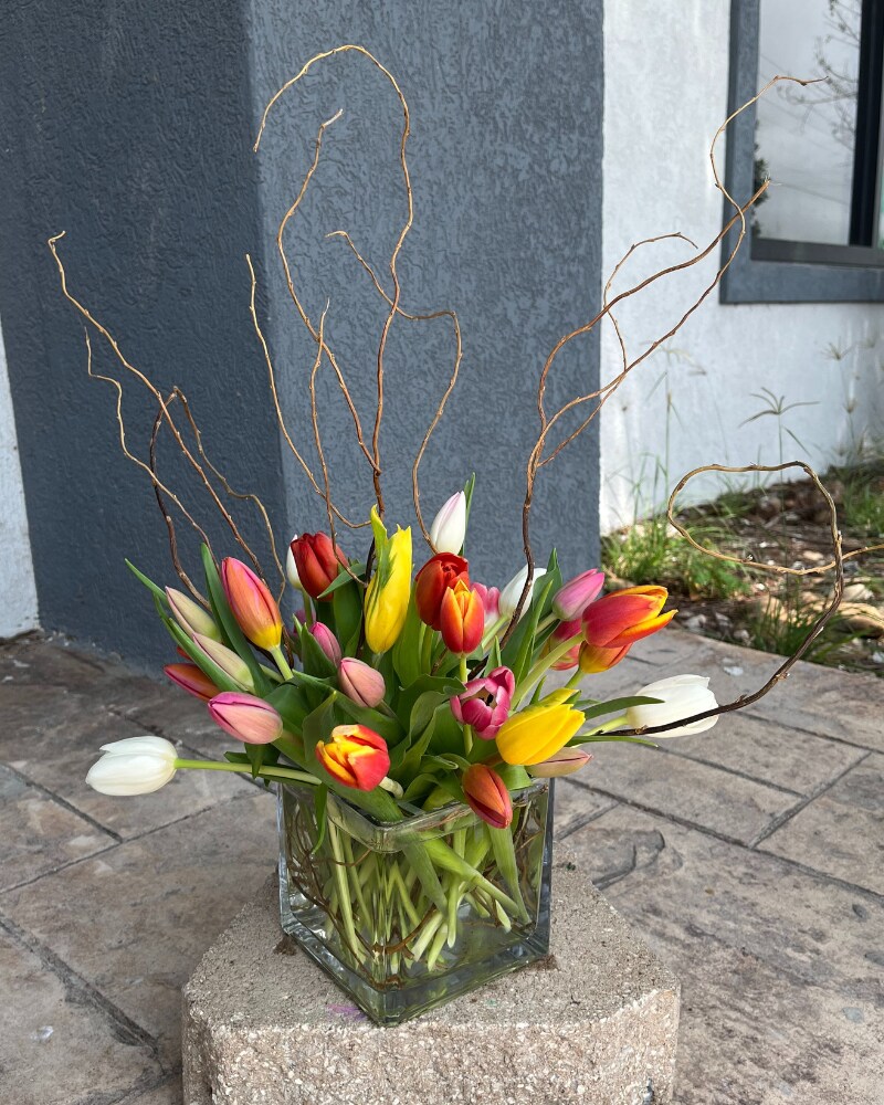 Deal of the day Specialty Arrangement