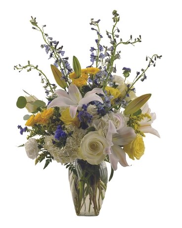 Deal of the day Specialty Arrangement