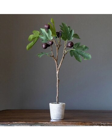 Mission Fig Topiary Flower Arrangement