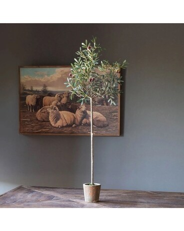 Olive Tabletop Potted Topiary Flower Arrangement