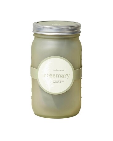 Garden Jar - Rosemary Flower Arrangement