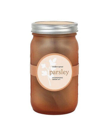 Garden Jar - Parsley Flower Arrangement