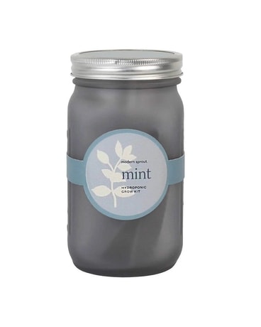 Garden Jar - Mint Flower Arrangement