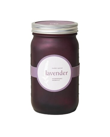 Garden Jar - Lavender Flower Arrangement