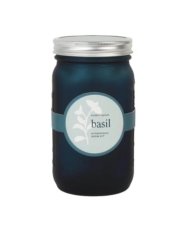 Garden Jar - Basil Flower Arrangement