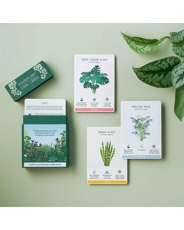 Houseplant Care Cards Flower Arrangement