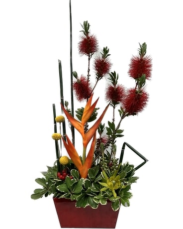 A Brush with the Tropics Flower Arrangement