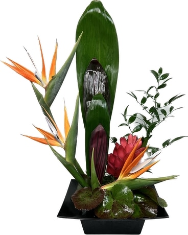 Tropical Bird Flower Arrangement