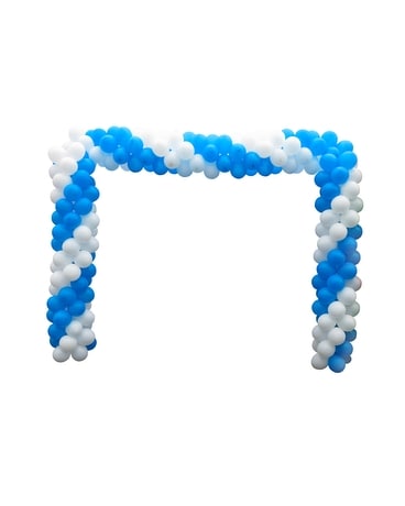 【AAKE】CURVED BALLOON PT OmniCurve curved balloon system | Stryker