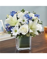 blue & white size,  inches height and  inches wide.