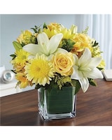 yellow & white size,  inches height and  inches wide.