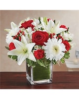 red & white size,  inches height and  inches wide.