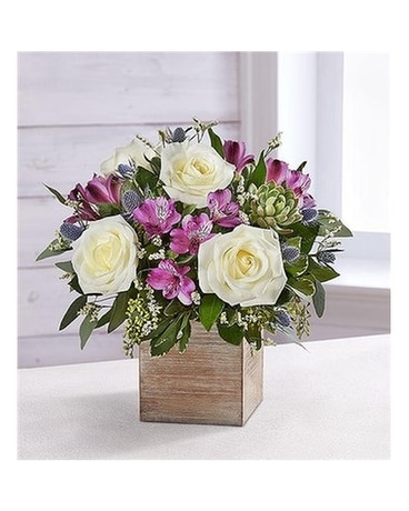 Succulent splendor Flower Arrangement