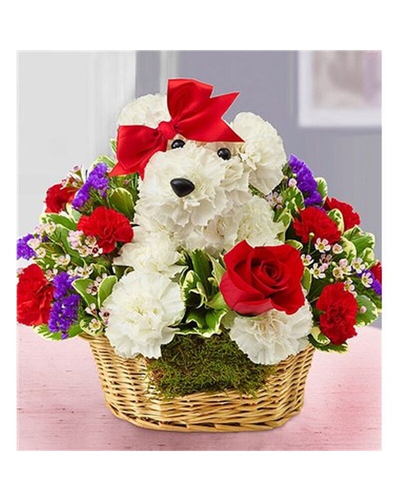 Puppy Love in Corpus Christi TX - Castro's Flower Shop