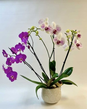 Double Orchid Flower Arrangement