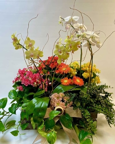 Grand European Garden in Crate Flower Arrangement