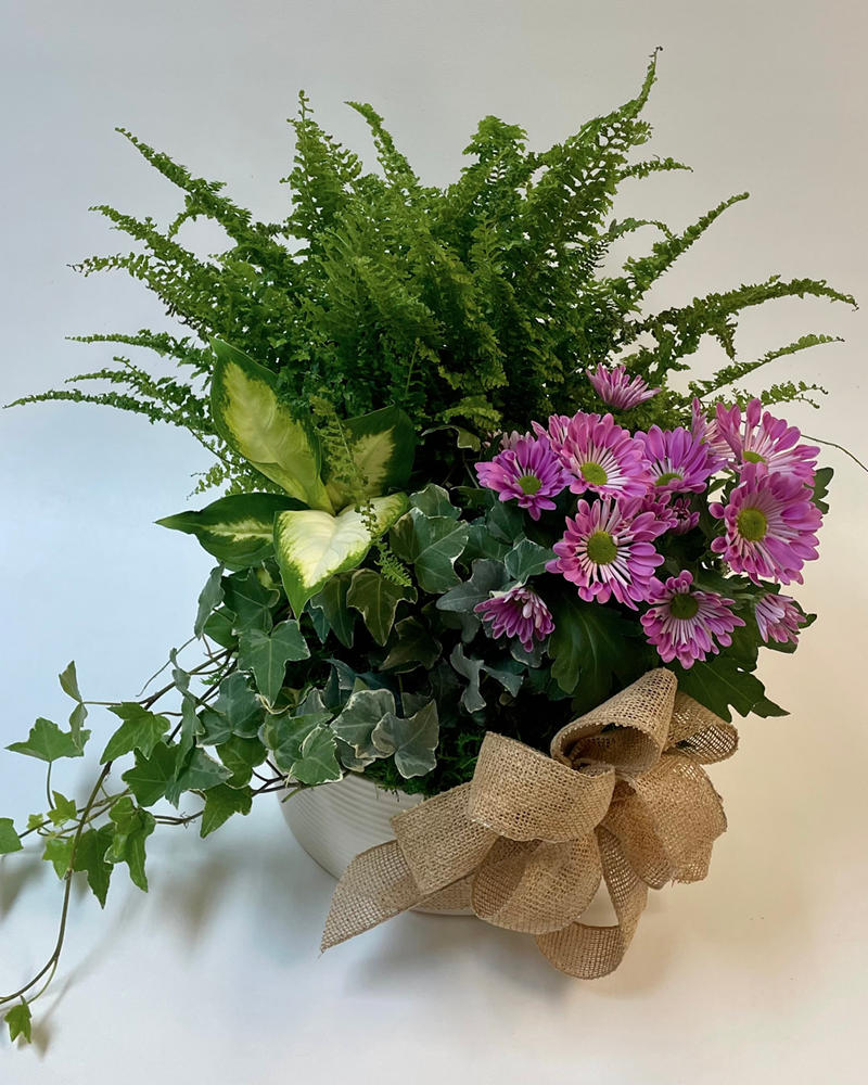 Ceramic European Garden Plant