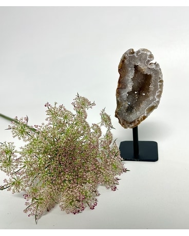 Standard size,  inches height and  inches wide.