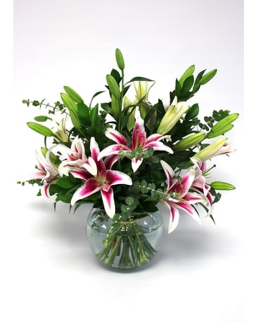 【保障できる】 New Delivery Arrangements Lily Braunfels Shop Flower Comal - TX 化粧水・ローション・トナー