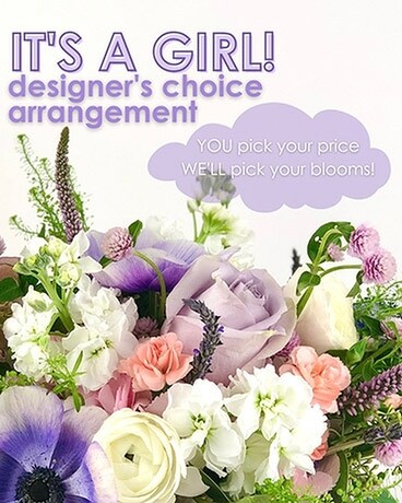 Designer's Choice - Baby Girl Flower Arrangement