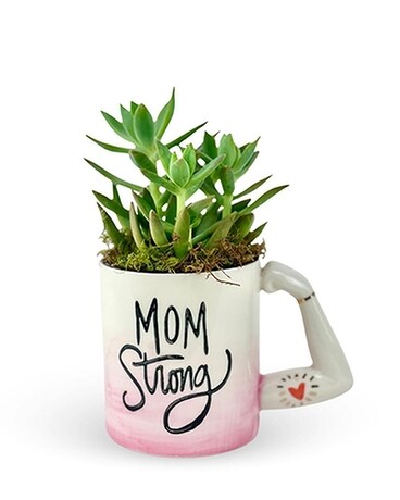 Mom Strong Succulents Plant