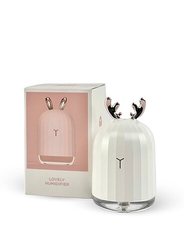 Mini Desktop Humidifier Gifts